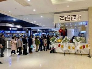 毕节球速体育加盟要多少钱？